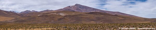 Route de Salar de Pocitos à Santa Rosa de los Pastos Grandes - Argentine