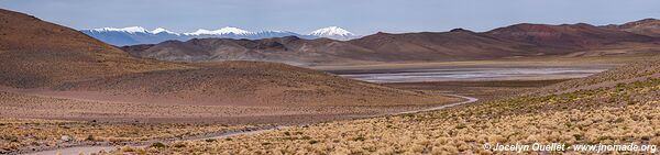 Route de Salar de Pocitos à Santa Rosa de los Pastos Grandes - Argentine