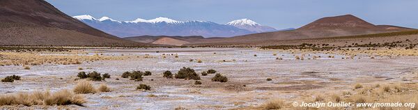 Route de Salar de Pocitos à Santa Rosa de los Pastos Grandes - Argentine