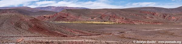 Road from Salar de Pocitos to Santa Rosa de los Pastos Grandes - Argentina