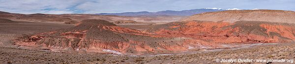 Route de Salar de Pocitos à Santa Rosa de los Pastos Grandes - Argentine