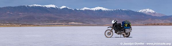 Salar de los Pastos Grandes - Argentine