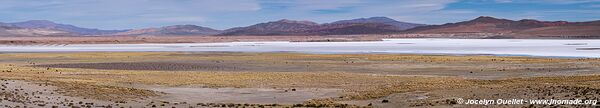 Salar de los Pastos Grandes - Argentine