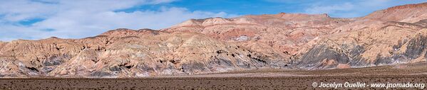 Route de Santa Rosa de los Pastos Grandes à San Antonio de los Cobres - Argentine