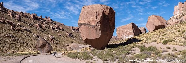 Route 40 de San Antonio de los Cobres à Susques - Argentine