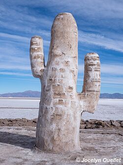 Salinas Grandes - Argentina