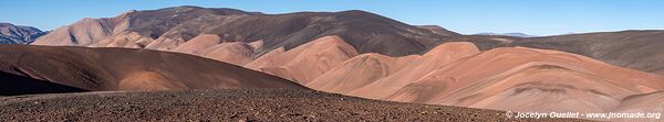 Reserva Provincial Laguna Brava - Argentine