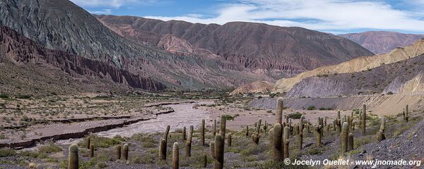 Cuesta de Lipán - Argentine