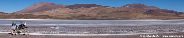 Reserva Provincial Laguna Brava - Argentine