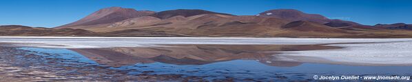 Reserva Provincial Laguna Brava - Argentine