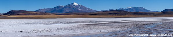 Reserva Provincial Laguna Brava - Argentina