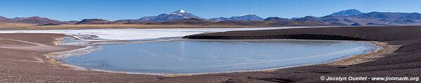 Reserva Provincial Laguna Brava - Argentina