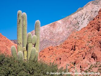 Quebrada de las Señoritas - Uquía - Argentina