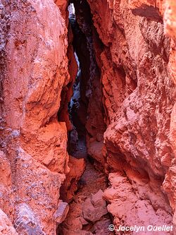 Quebrada de las Señoritas - Uquía - Argentine