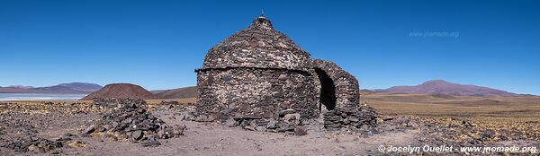 Reserva Provincial Laguna Brava - Argentina