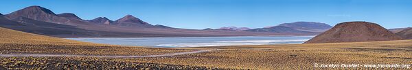 Reserva Provincial Laguna Brava - Argentine