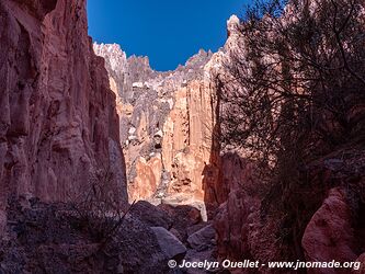 Quebrada de las Señoritas - Uquía - Argentine