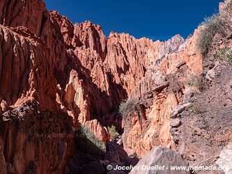 Quebrada de las Señoritas - Uquía - Argentine