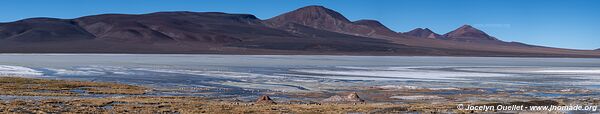 Reserva Provincial Laguna Brava - Argentina