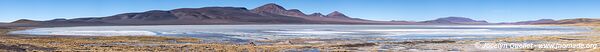 Reserva Provincial Laguna Brava - Argentine