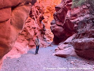 Quebrada de las Señoritas - Uquía - Argentina