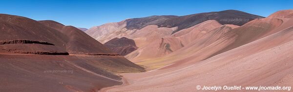 Reserva Provincial Laguna Brava - Argentine