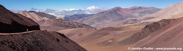 Reserva Provincial Laguna Brava - Argentine