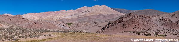 Reserva Provincial Laguna Brava - Argentina