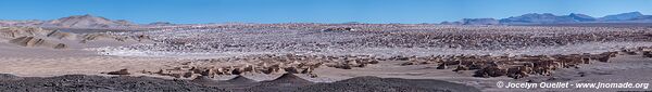 Campo Piedra de Pomez - Argentina