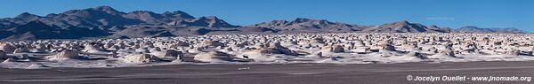 Campo Piedra de Pomez - Argentine