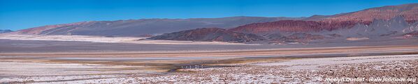 El Peñón-Piedra de Pomez-Laguna Carachi Pampa Loop - Argentina