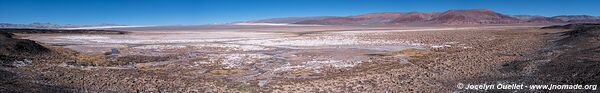 Circuit El Peñón-Piedra de Pomez-Laguna Carachi Pampa - Argentine