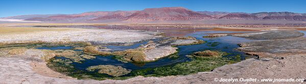 El Peñón-Piedra de Pomez-Laguna Carachi Pampa Loop - Argentina