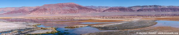 Circuit El Peñón-Piedra de Pomez-Laguna Carachi Pampa - Argentine