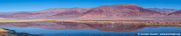 Circuit El Peñón-Piedra de Pomez-Laguna Carachi Pampa - Argentine