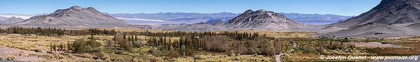 Circuit El Peñón-Piedra de Pomez-Laguna Carachi Pampa - Argentine