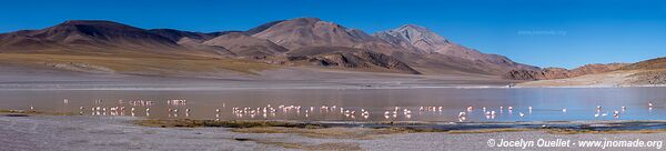 Circuit El Peñón-Laguna Grande-Laguna Diamante - Argentine