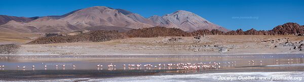 Circuit El Peñón-Laguna Grande-Laguna Diamante - Argentine