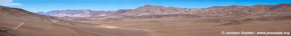 Road from Antofagasta de la Sierra to Botijuela - Argentina