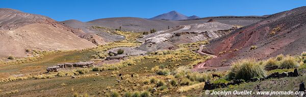 Vega de la Botijuela - Salar de Antofalla - Argentina