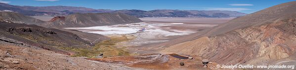 Vega de la Botijuela - Salar de Antofalla - Argentine