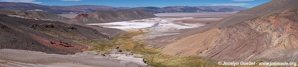 Vega de la Botijuela - Salar de Antofalla - Argentine