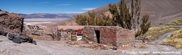 Vega de la Botijuela - Salar de Antofalla - Argentine