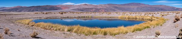 Ojos de Campo - Salar de Antofalla - Argentine