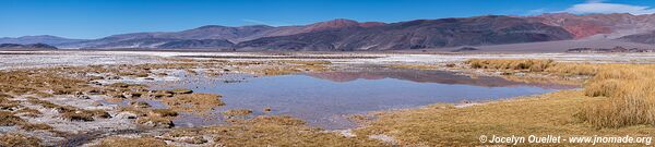 Ojos de Campo - Salar de Antofalla - Argentine