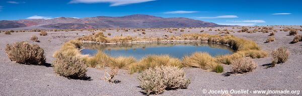 Ojos de Campo - Salar de Antofalla - Argentina